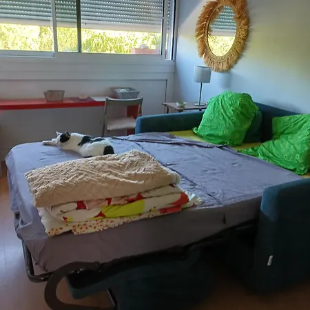 Homestay Chez Flo Et Nano