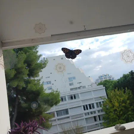 Homestay Chez Flo Et Nano La Grande-Motte