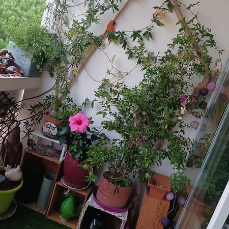 Chez Flo Et Nano *